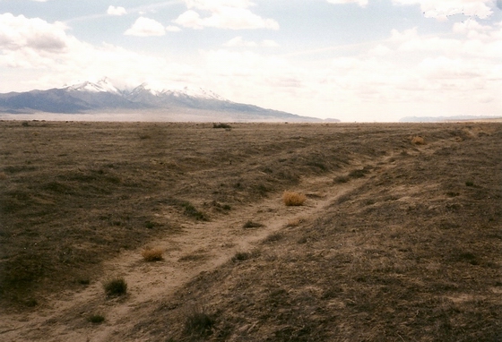 ALONG THE TRAIL BETWEEN MARKER C-64 AND C-65