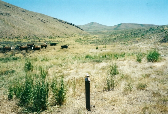 LOOKING NORTH FROM MARKER C-27