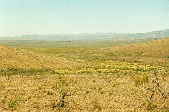 LOOKING NORTH TOWARD MARKER C-25