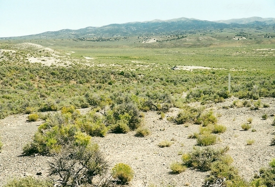 LOOKING NORTH UP THE TRAIL SOUTH OF C-22