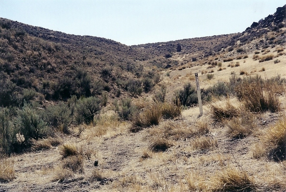 LOOKING SOUTH UP THE TRAIL AT MARKER C-41