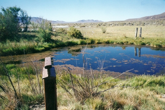MARKER C-83 NEAR TOULON