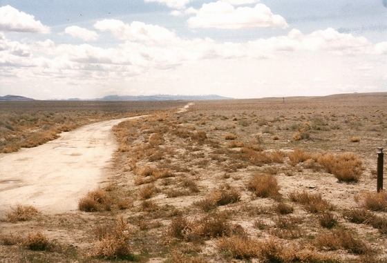 THE DRY CUTOFF CONTINUES PAST MARKER C-65 ON ITS WAY SOUTH TO THE RIVER.