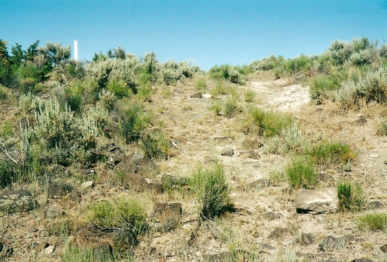 TRAIL HEADS WEST UP OUT OF LITTLE GOOSE CREEK NEAR MARKER C-18