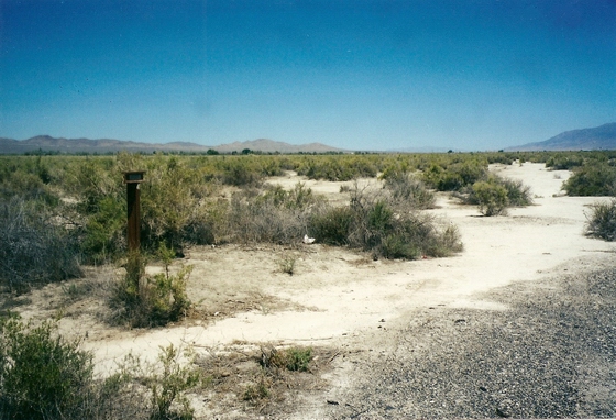 TRAIL PASSED OVER MORE OF THE SANDY DESERT AT MARKER C-78