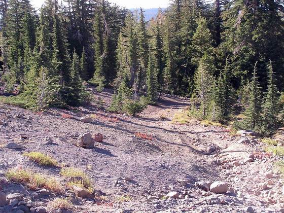 Trail heading west from Marker CR-50