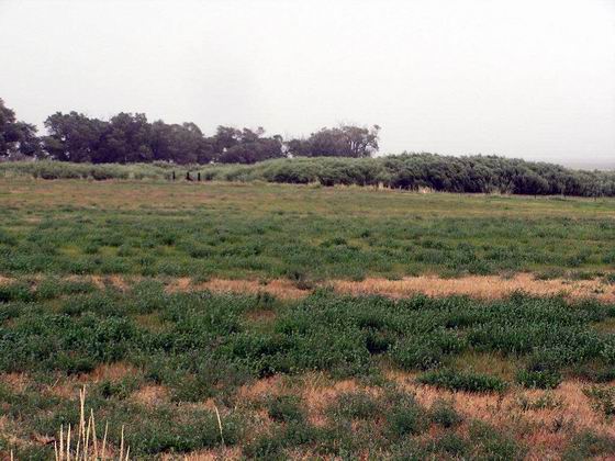 At HN 16 looking east toward Sulphur Hot Spring