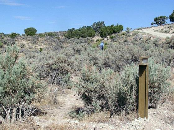 At HN-23 looking NW up the trail