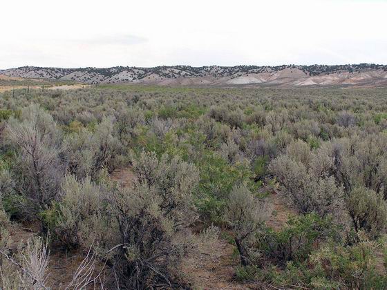 At HN-29 looking north along the trail
