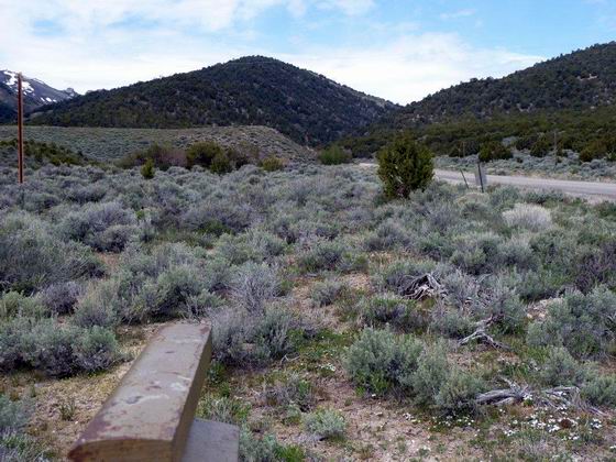 Marker HN 19 & looking west toward Harrison Pass