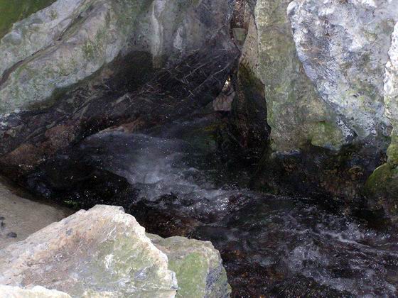 Source of Cave Cr. near HN-20