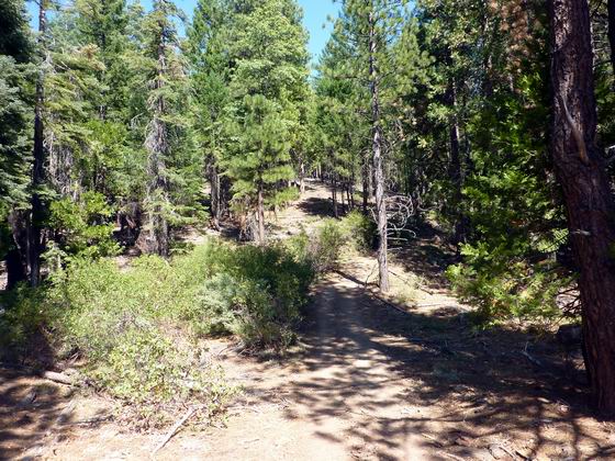 B-21 Looking Back Up Trail