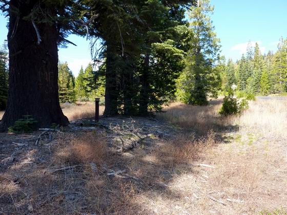 B-40 looking east up the trail